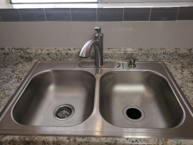 New Kitchen Sink and Faucet