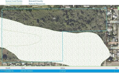Estuarine and Marine Wetland