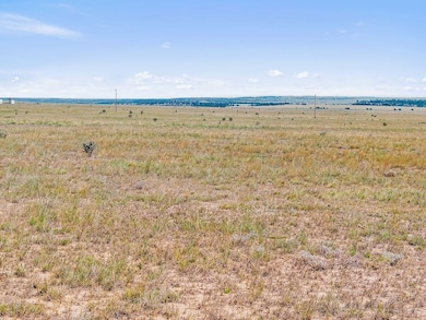 Tbd County Road 115 Lot unit WP001, Rye, CO 81069 - photo 6