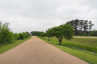 Lot 2 Legacy Park unit Lot 2, Pearl, MS 39208 - photo 4