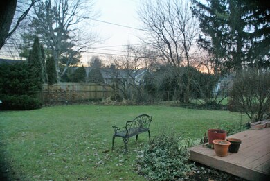 Backyard 2