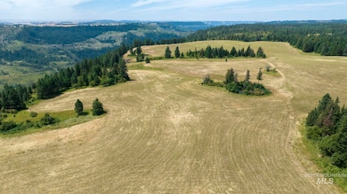 1605 Jasmine Ln Parcels 16 & 17, Weippe, ID 83553 - photo 2