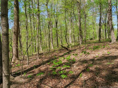 0 S Skyline Dr unit Lot 30-31 202407322, Floyds Knobs, IN 47119 - photo 2