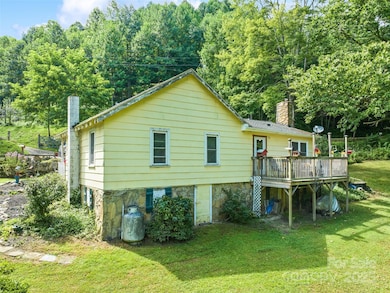 4828 Max Patch Rd, Clyde, NC 28721 - photo 6