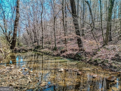 47 ac Jesse Martin Trail, Canton, GA 30115 - photo 6