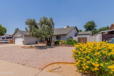 06 - Ivyglen 6110
