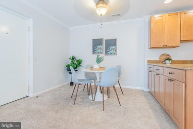 Sligo Station Condominium unit 220, Takoma Park, MD 20912 - photo 7