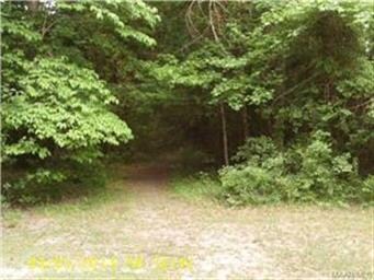 Path to creek