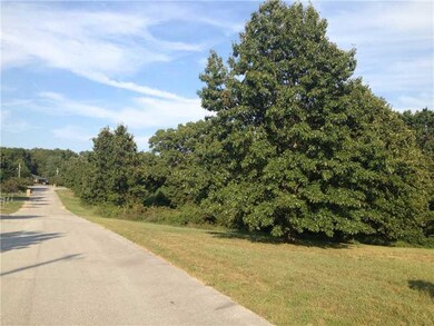 Other. Large 2+ acre lot in quiet subdivision.