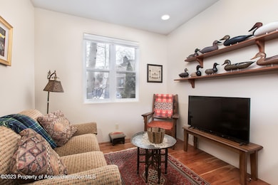 764 Promontory Ln unit 35, Basalt, CO 81621 - photo 4