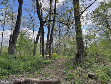 150 Dun Rovin Ln, Great Cacapon, WV 25422 - photo 3
