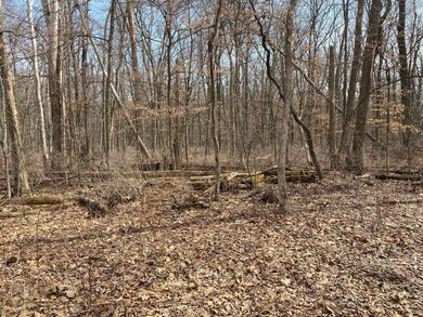 1108 Oakview Ln, Genoa, IL 60135 - photo 4