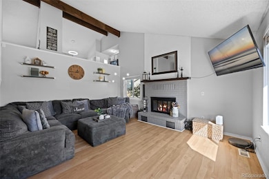 Wood burning fireplace