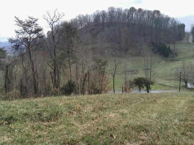 TBD Watauga Rd, Watauga, TN 37694 - photo 5