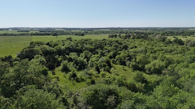 dji_fly_20250516_172856_0364_17474342002