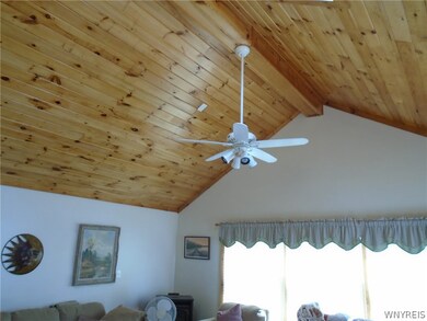 Living Room ceiling