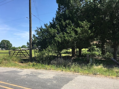 Mardi Gras Rd. Pic 5