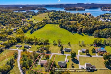 254 Meadowview Ln, Bean Station, TN 37708 - photo 5