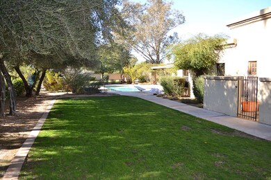 BACKYARD 01