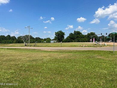 IMG_7538