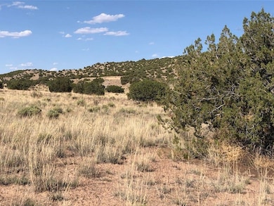 Lots 4&5 Santa California Subd, Medanales, NM 87510 - photo 3