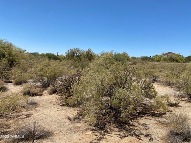 Sonoran Desert