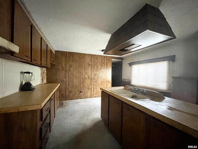 407 Marsh St, Harrisburg, IL 62946 - photo 6