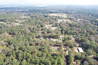 17648 Rhonda Ln, Montgomery, TX 77316 - photo 3