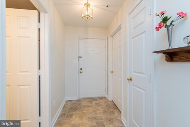 4401 Silverbrook Ln unit B204, Owings Mills, MD 21117 - photo 3