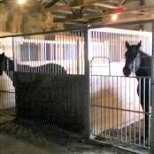 6315 N Victor Rd, Lebanon, IN 46052 - photo 6