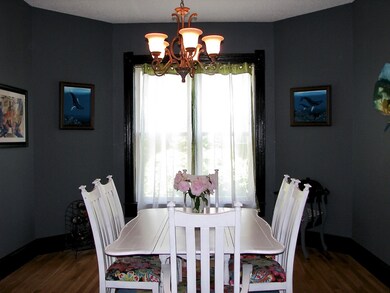 301 E Van Allen St, Tuscola, IL 61953 - photo 4