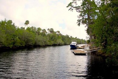 1138 Highway 51 NE, Steinhatchee, FL 32359 - photo 2