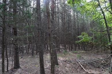 02 Hanging Rock Forest Rd unit Tract E (10.8), Danbury, NC 27016 - photo 5