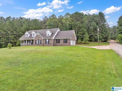 3736 Tidwell Hollow Rd, Oneonta, AL 35121 - photo 6