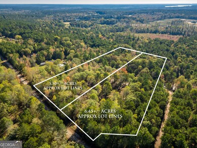 2040 Trimble Bridge Rd, Madison, GA 30650 - photo 2