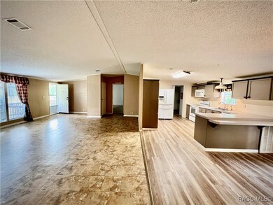 Living Room & Kitchen
