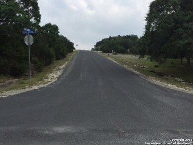 22909 Central Prairie, San Antonio, TX 78255 - photo 3