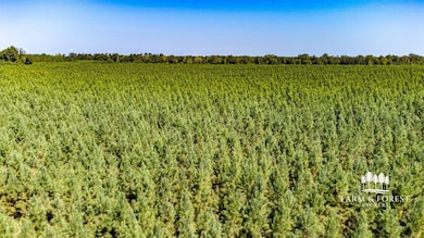 XX1 Highway 2, Campbellton, FL 32426 - photo 5