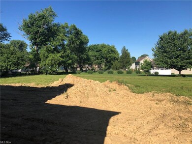 Large back yard is perfect for kids and pets. .46 