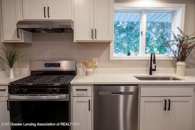 2905 S Catherine St, Lansing, MI 48911 - photo 6