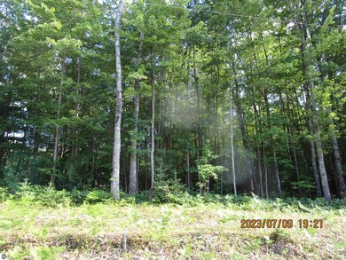 2270 Dobler Rd, Sterling, MI 48659 - photo 3