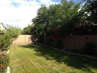 Backyard looking Eastiris