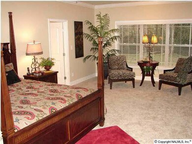 Master bedroom Similar home being built.