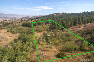 653B Ellemeham Mountain Rd, Oroville, WA 98844 - photo 7