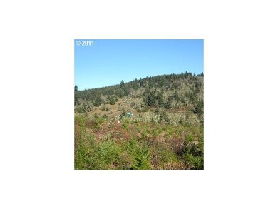 23495 Gooseneck Rd, Sheridan, OR 97378 - photo 3