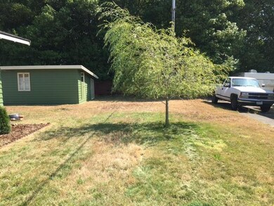 Front Yard
