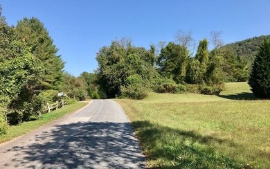 LT 61 Mountain Laurel Rd, Hiawassee, GA 30546 - photo 4