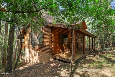 6850 W Robbin Ln, Pine, AZ 85544 - photo 3