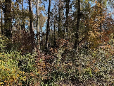 0 Apache Dr unit RTC3043137, Jackson, GA 30233 - photo 3