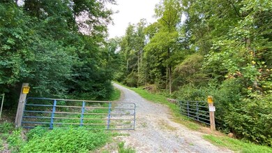 000 Us Highway 421, Purlear, NC 28665 - photo 7